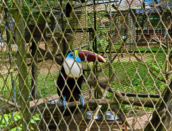 Zoologisch Park van Paramaribo